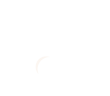 Ever Paws Pet