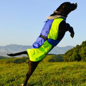 Alpine All-Weather Dog Coat (Color: Blue and Green, Size: Small)