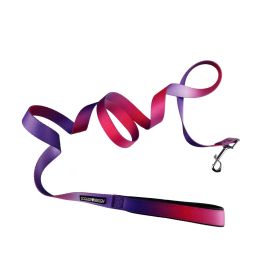 American River Ombre Leash (Color: Raspberry Sundae, Size: 1 inch wide x 6 feet long)